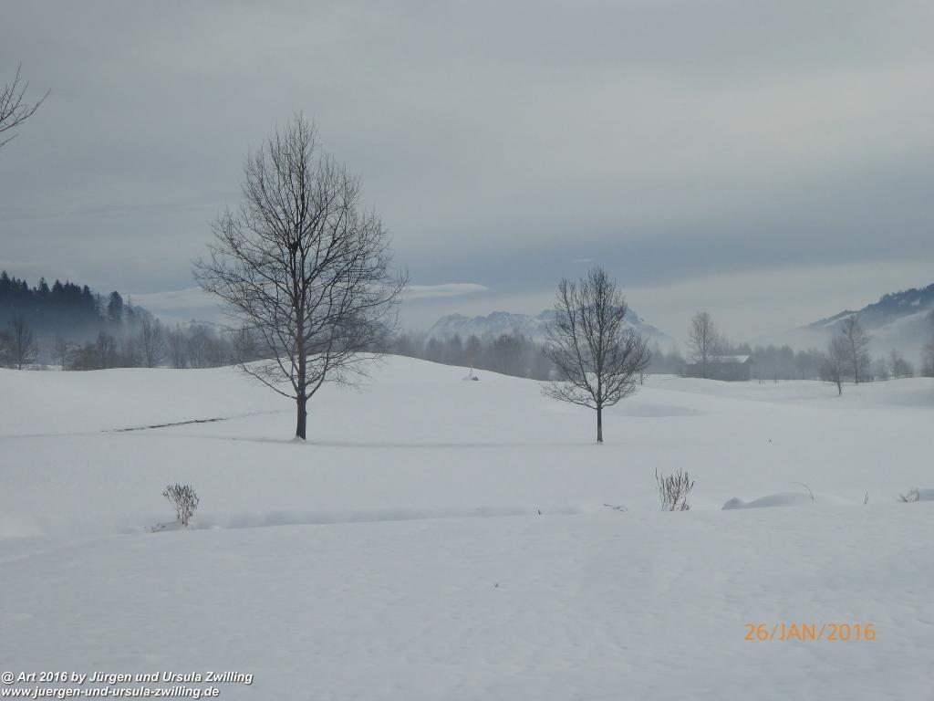 Philosophische Bildwanderung - Haflingertränke - Ellmau-Tirol - Kaisergebirge - Österreich