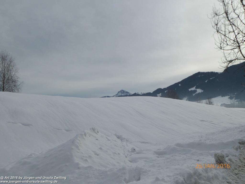 Philosophische Bildwanderung - Haflingertränke - Ellmau-Tirol - Kaisergebirge - Österreich