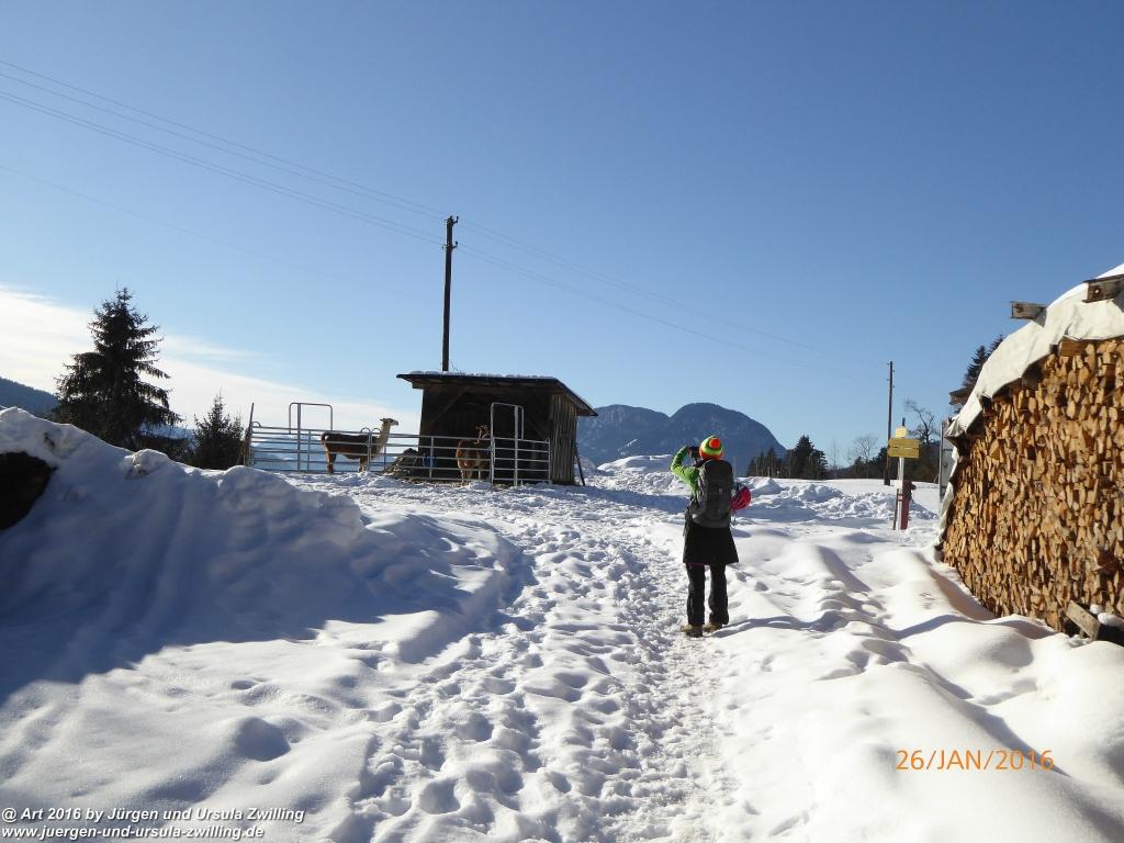 Philosophische Bildwanderung - Haflingertränke - Ellmau-Tirol - Kaisergebirge - Österreich