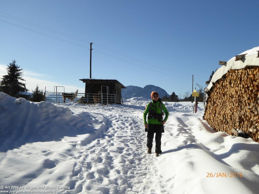 Philosophische Bildwanderung - Haflingertränke - Ellmau-Tirol - Kaisergebirge - Österreich