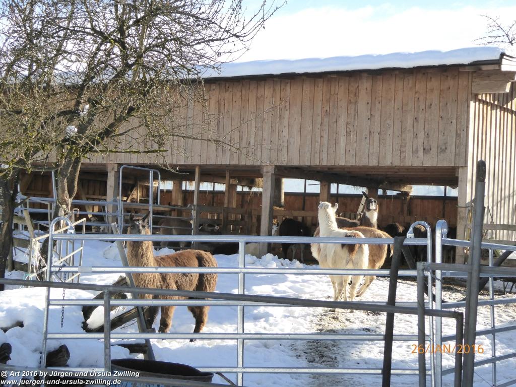 Philosophische Bildwanderung - Haflingertränke - Ellmau-Tirol - Kaisergebirge - Österreich