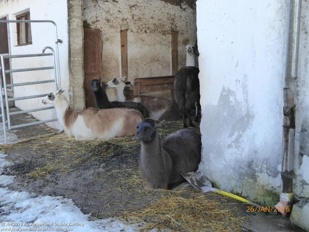 Philosophische Bildwanderung - Haflingertränke - Ellmau-Tirol - Kaisergebirge - Österreich
