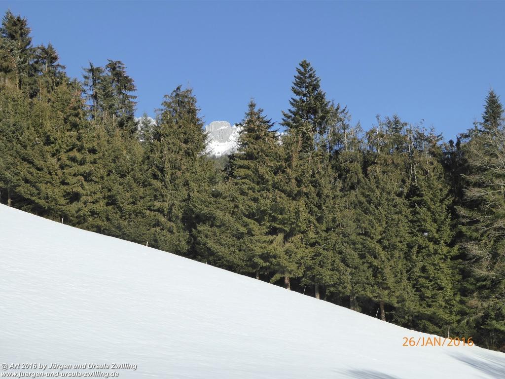 Philosophische Bildwanderung - Haflingertränke - Ellmau-Tirol - Kaisergebirge - Österreich