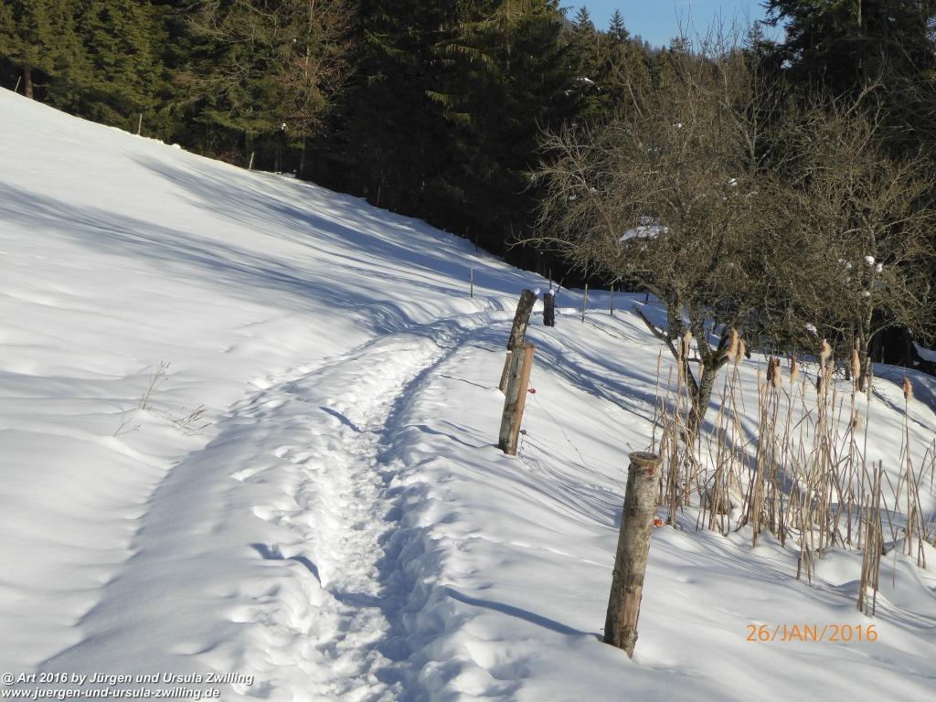 Philosophische Bildwanderung - Haflingertränke - Ellmau-Tirol - Kaisergebirge - Österreich