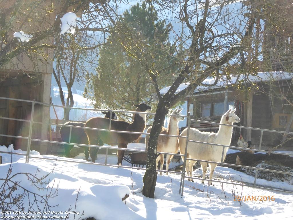 Philosophische Bildwanderung - Haflingertränke - Ellmau-Tirol - Kaisergebirge - Österreich