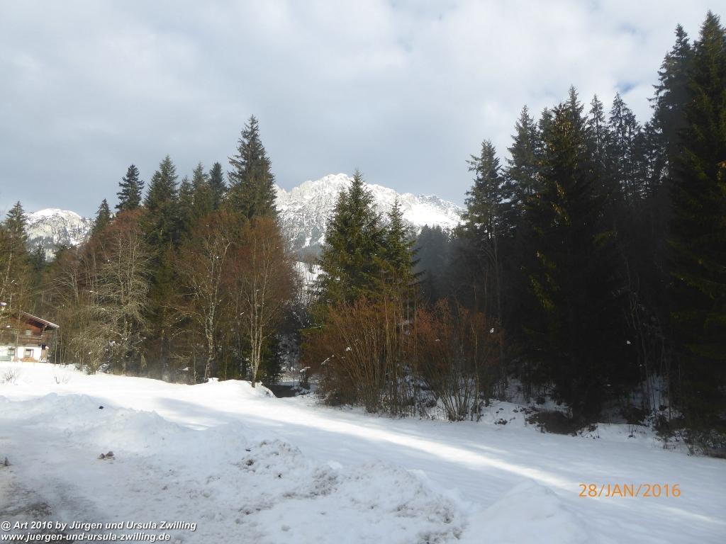 Philosophische Bildwanderung - Schneerosenweg - Scheffau - Tirol - Österreich