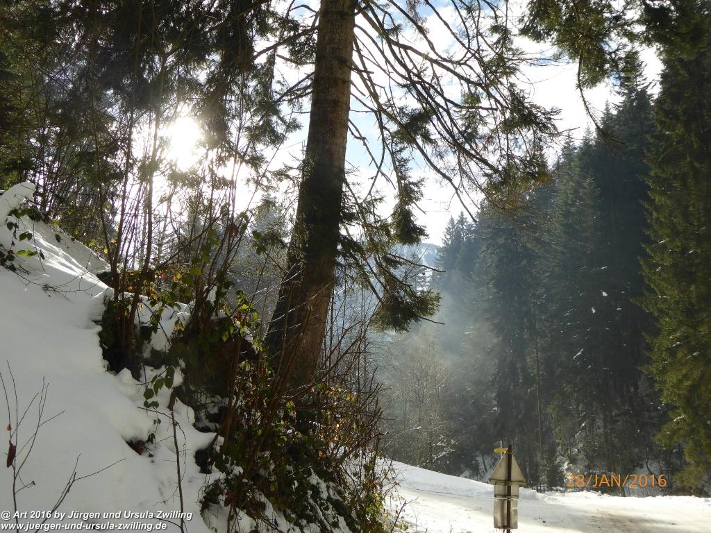Philosophische Bildwanderung - Schneerosenweg - Scheffau - Tirol - Österreich