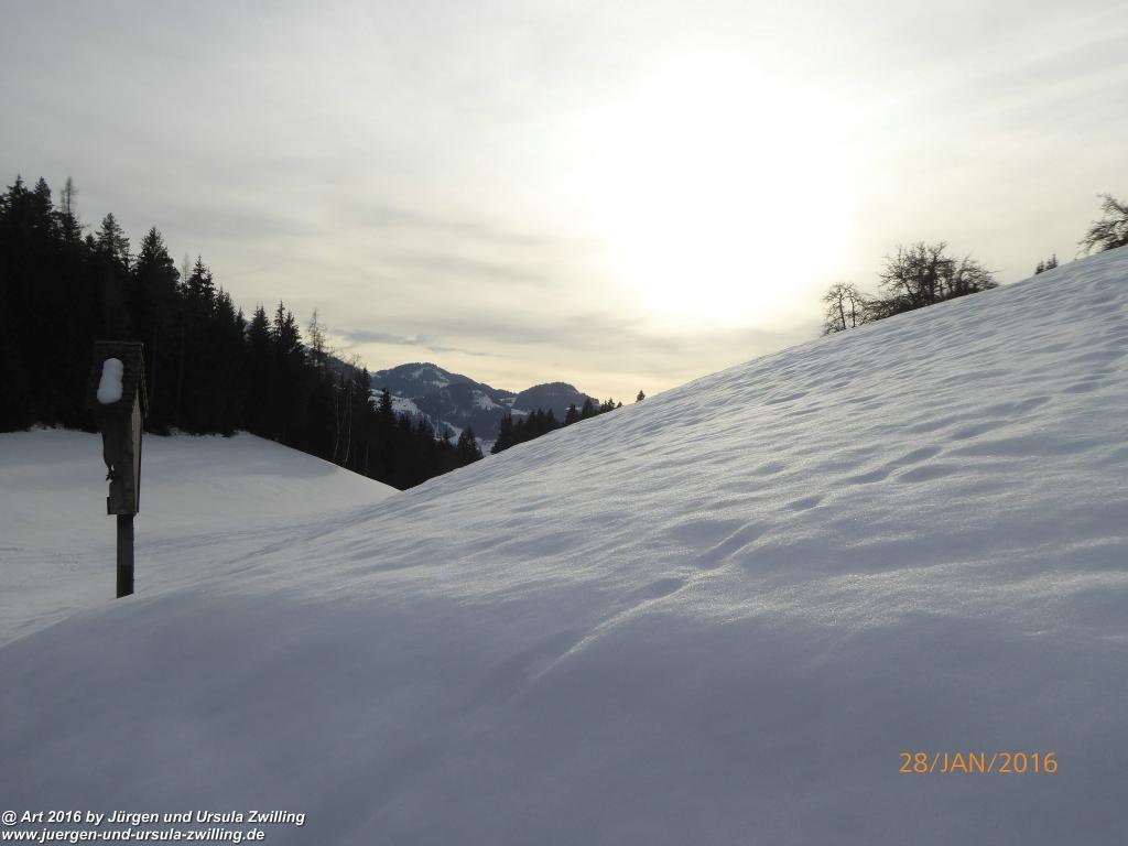 Philosophische Bildwanderung - Schneerosenweg - Scheffau - Tirol - Österreich