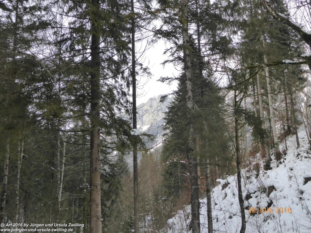 Philosophische Bildwanderung - Schneerosenweg - Scheffau - Tirol - Österreich