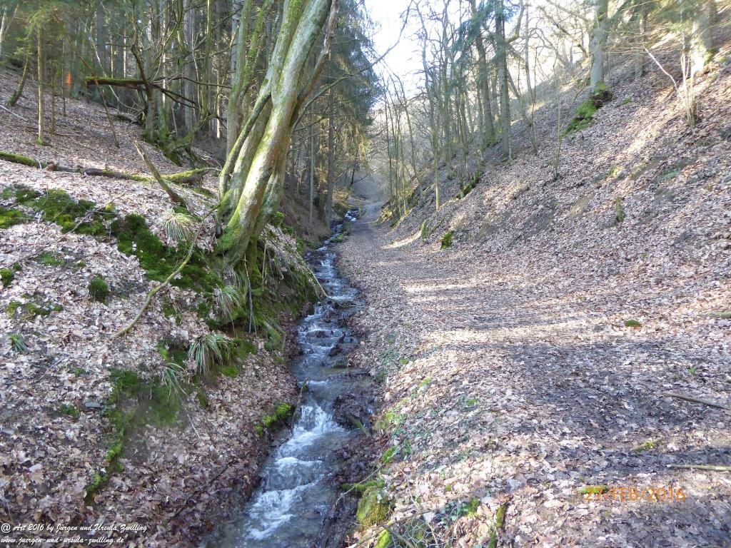 Philosophische Bildwanderung  Wanderweg -Traumschleife-Elfenlay - Boppard am Rhein