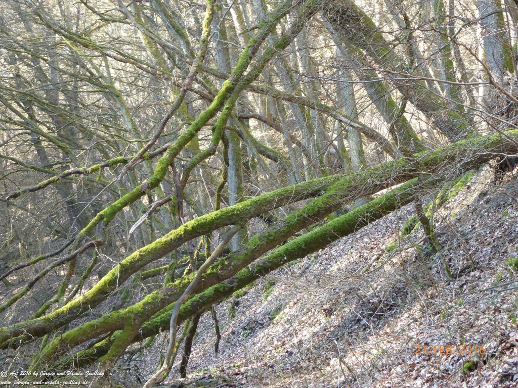 Philosophische Bildwanderung  Wanderweg -Traumschleife-Elfenlay - Boppard am Rhein
