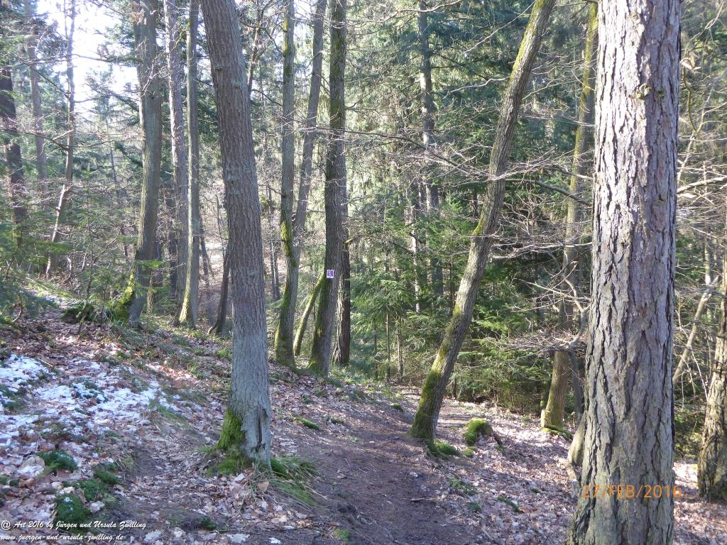 Philosophische Bildwanderung  Wanderweg -Traumschleife-Elfenlay - Boppard am Rhein