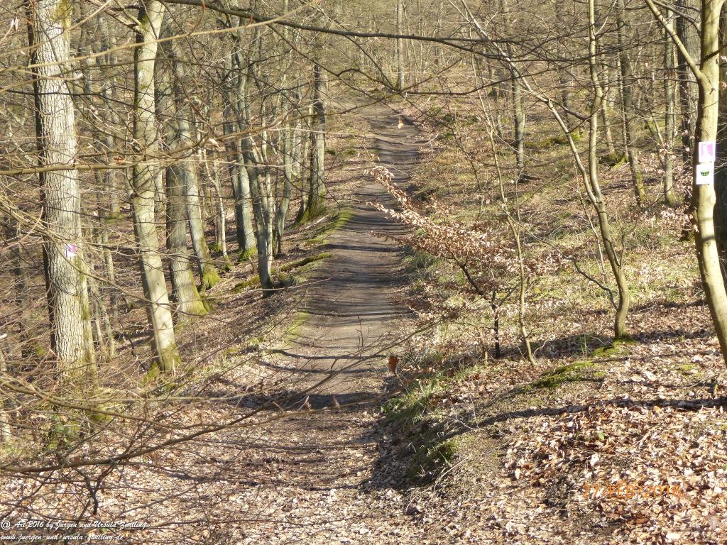 Philosophische Bildwanderung  Wanderweg -Traumschleife-Elfenlay - Boppard am Rhein