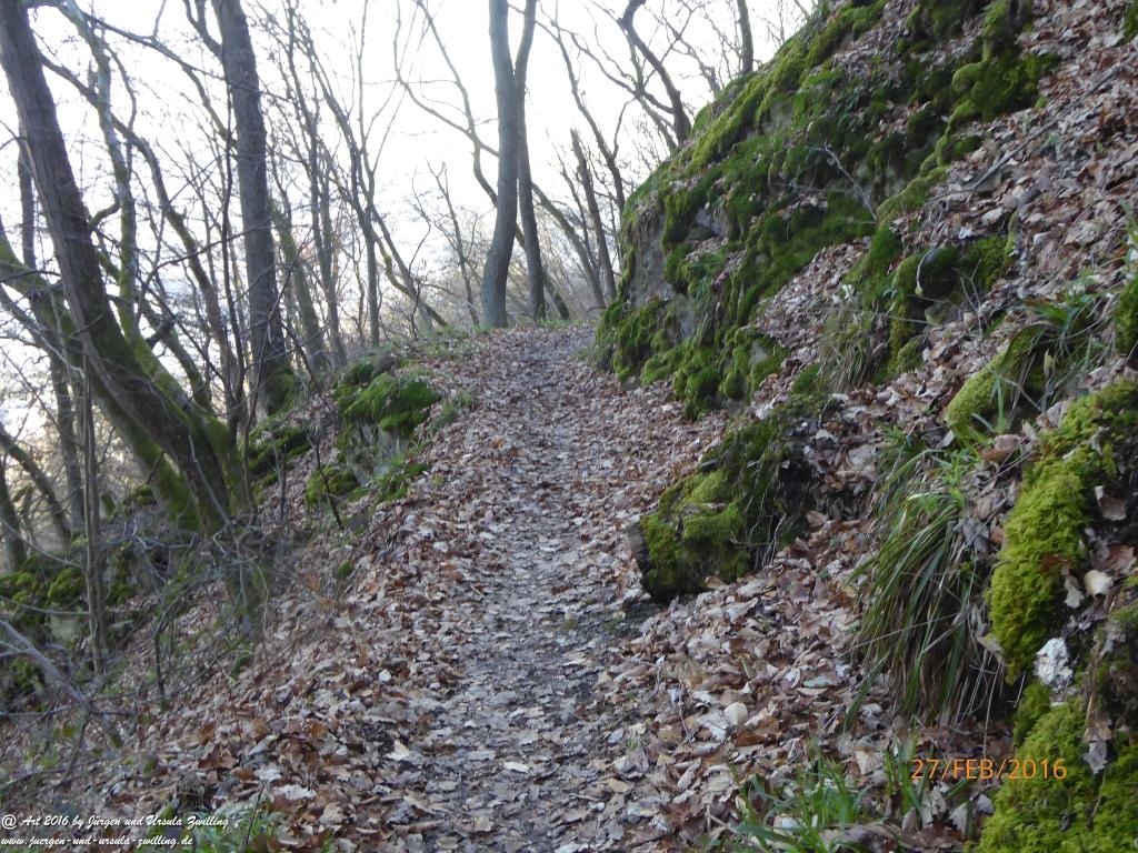 Philosophische Bildwanderung  Wanderweg -Traumschleife-Elfenlay - Boppard am Rhein