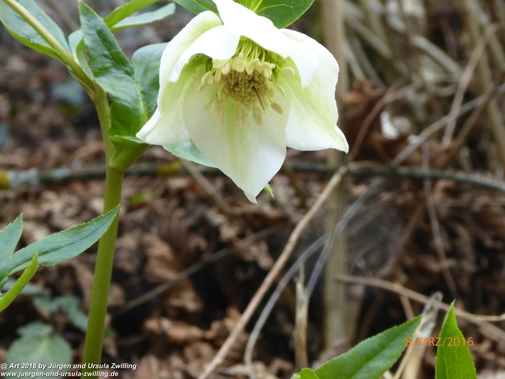 Philosophische Bildwanderung Vom-Stiegen - Öhningen nach-Stein-am-Rhein - Bodensee - Schweiz