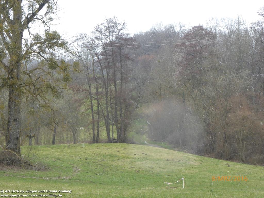 Philosophische Bildwanderung Vom-Stiegen - Öhningen nach-Stein-am-Rhein - Bodensee - Schweiz