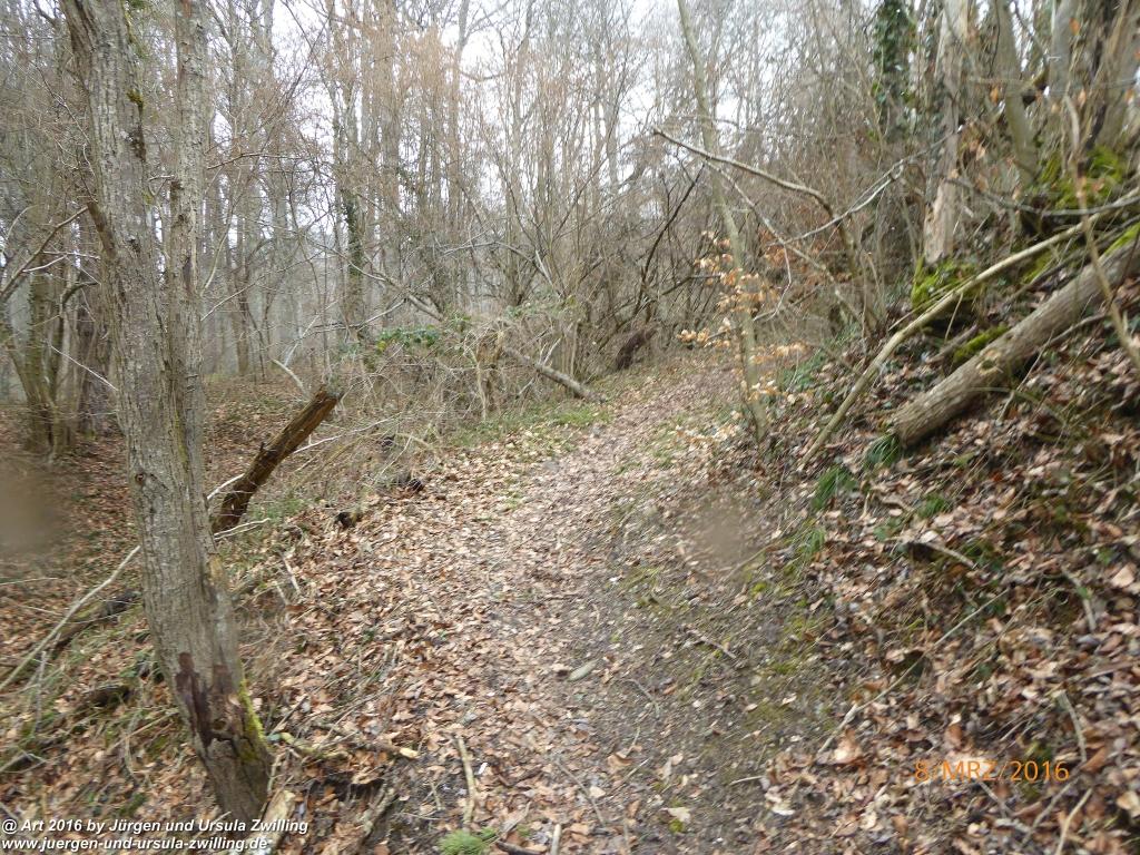 Philosophische Bildwanderung Vom-Stiegen - Öhningen nach-Stein-am-Rhein - Bodensee - Schweiz