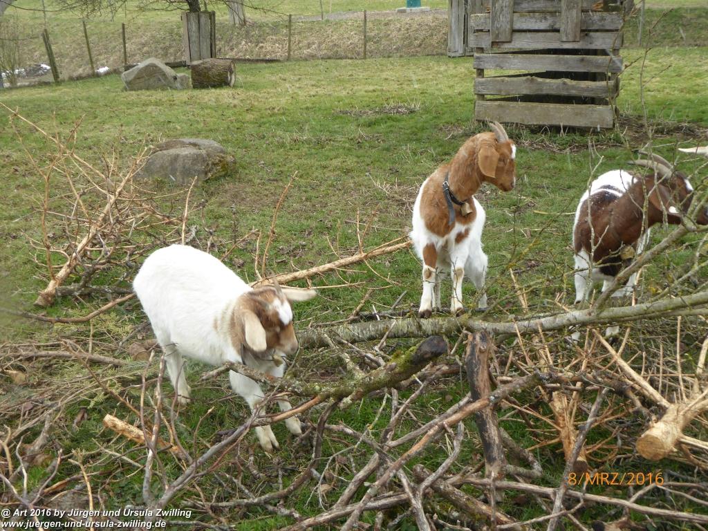 Philosophische Bildwanderung Vom-Stiegen - Öhningen nach-Stein-am-Rhein - Bodensee - Schweiz