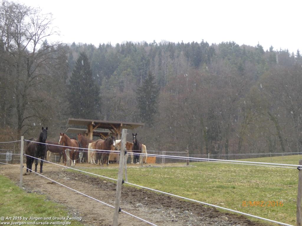 Philosophische Bildwanderung Vom-Stiegen - Öhningen nach-Stein-am-Rhein - Bodensee - Schweiz