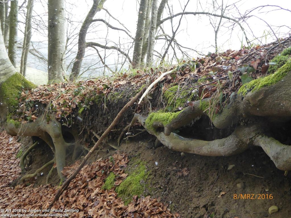 Philosophische Bildwanderung Vom-Stiegen - Öhningen nach-Stein-am-Rhein - Bodensee - Schweiz