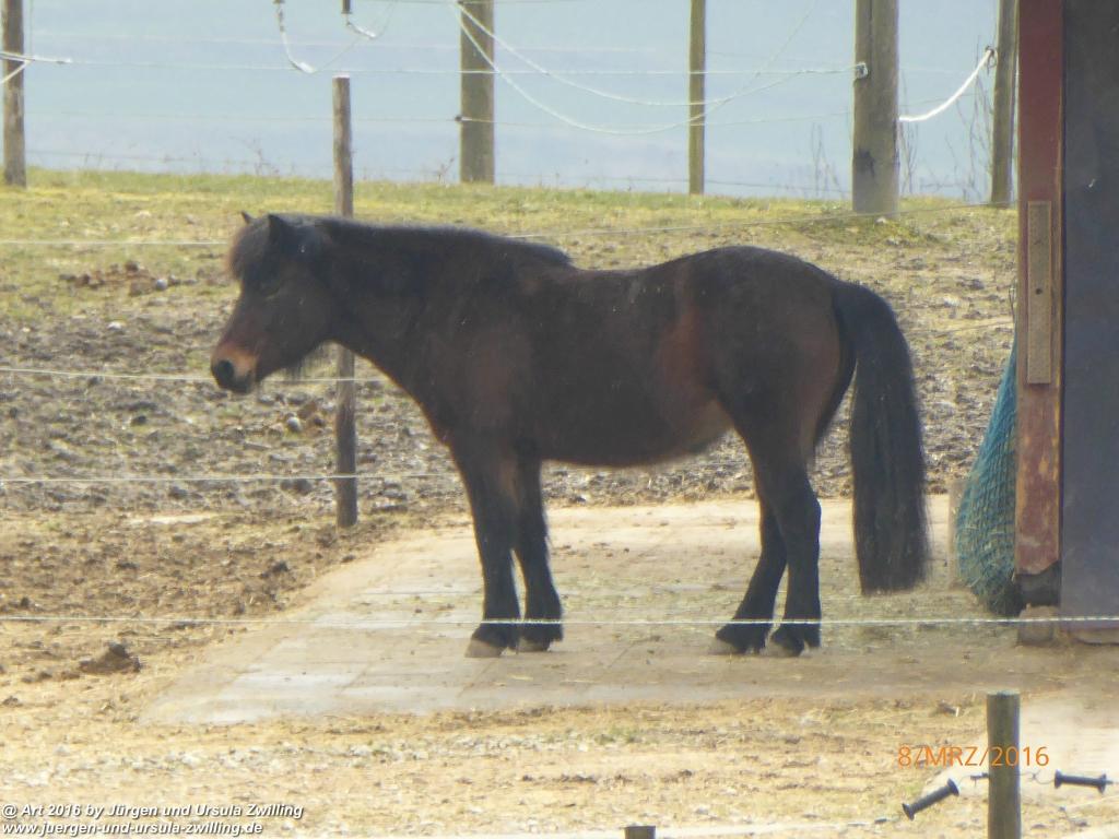 Philosophische Bildwanderung Vom-Stiegen - Öhningen nach-Stein-am-Rhein - Bodensee - Schweiz