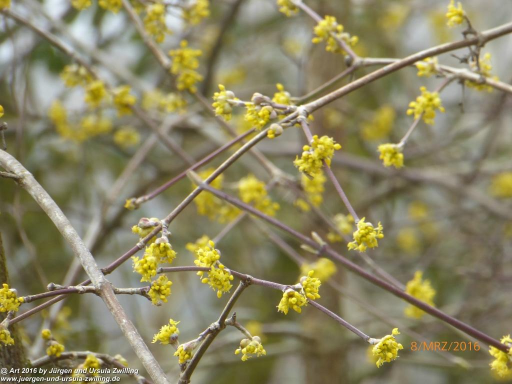 Philosophische Bildwanderung Vom-Stiegen - Öhningen nach-Stein-am-Rhein - Bodensee - Schweiz