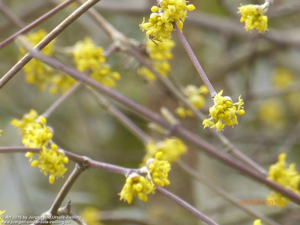Philosophische Bildwanderung Vom-Stiegen - Öhningen nach-Stein-am-Rhein - Bodensee - Schweiz