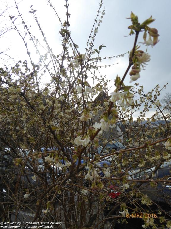 Philosophische Bildwanderung Vom-Stiegen - Öhningen nach-Stein-am-Rhein - Bodensee - Schweiz