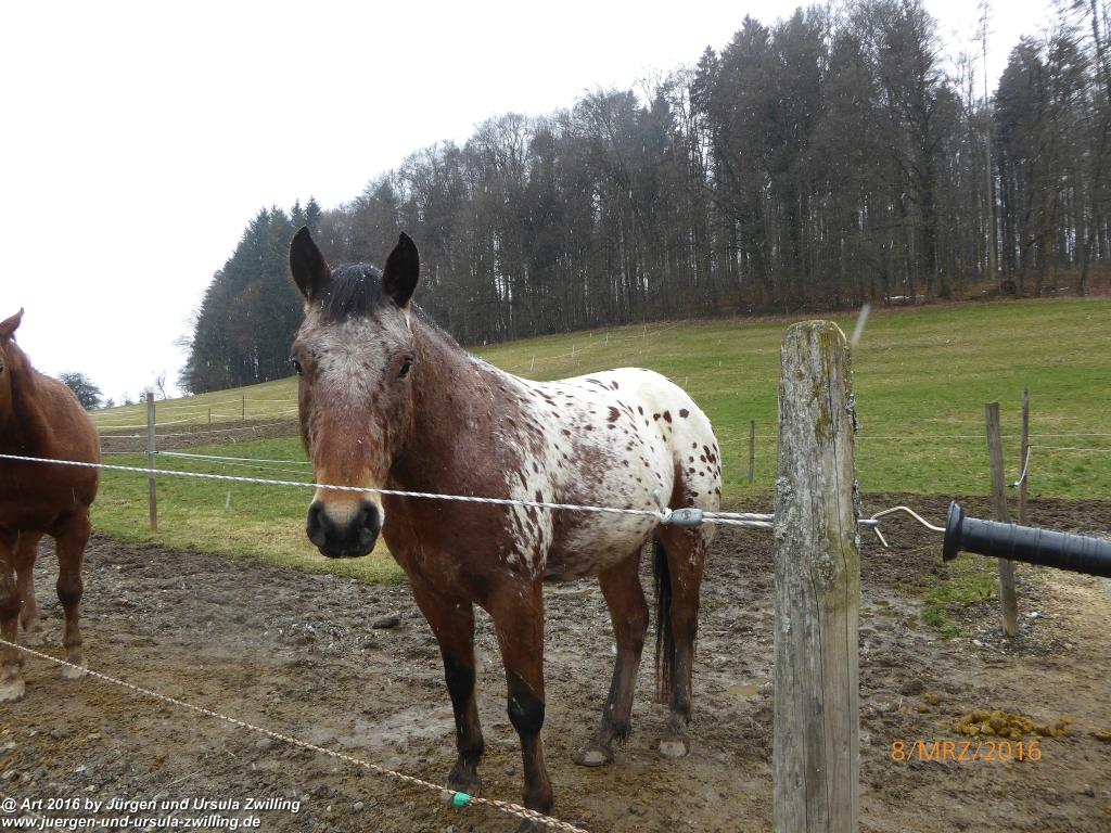 Philosophische Bildwanderung Vom-Stiegen - Öhningen nach-Stein-am-Rhein - Bodensee - Schweiz