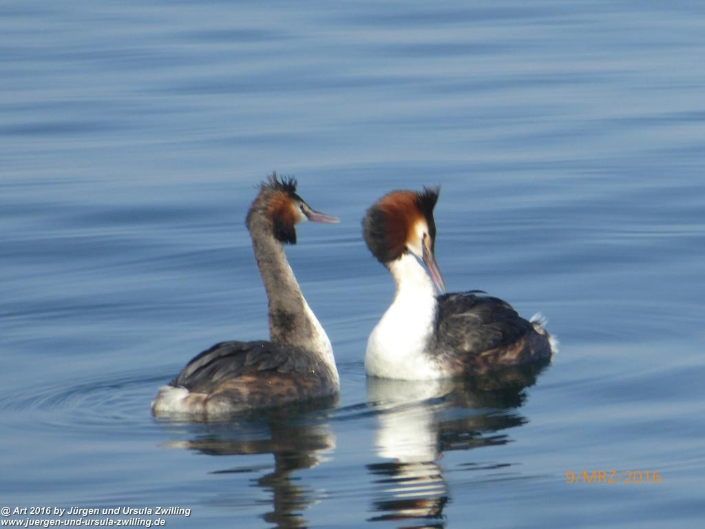 Philosophische Bildwanderung Rorschach -Staad - Landegg - Fünfländerblick -  Rorschach - Appenzeller Land - Bodensee - Schweiz