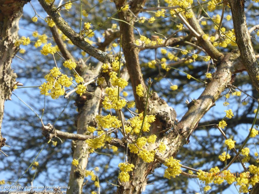 Philosophische Bildwanderung Rorschach -Staad - Landegg - Fünfländerblick - Rorschach - Appenzeller Land - Bodensee - Schweiz