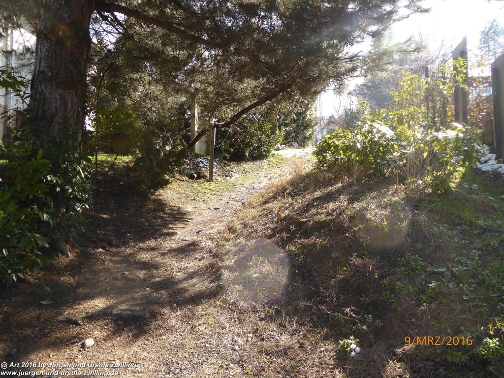 Philosophische Bildwanderung Rorschach -Staad - Landegg - Fünfländerblick - Rorschach - Appenzeller Land - Bodensee - Schweiz