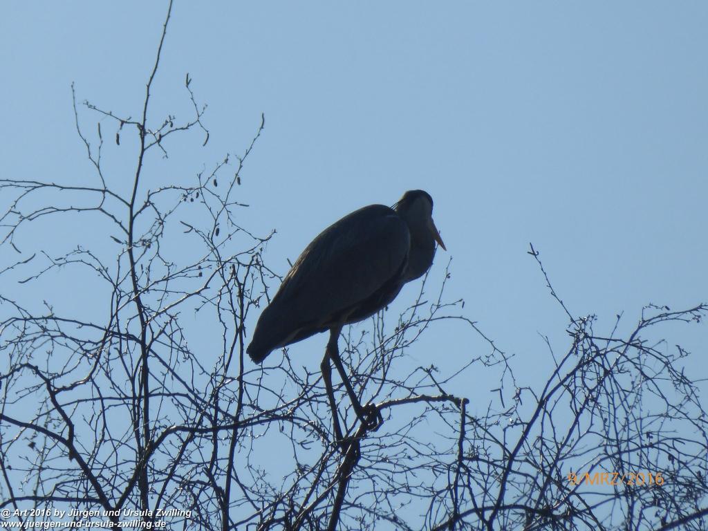 Philosophische Bildwanderung Rorschach -Staad - Landegg - Fünfländerblick - Rorschach - Appenzeller Land - Bodensee - Schweiz