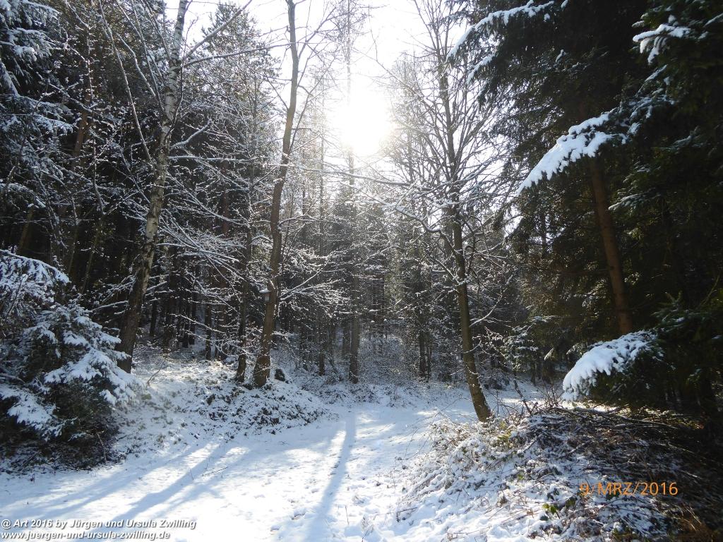 Philosophische Bildwanderung Rorschach -Staad - Landegg - Fünfländerblick - Rorschach - Appenzeller Land - Bodensee - Schweiz