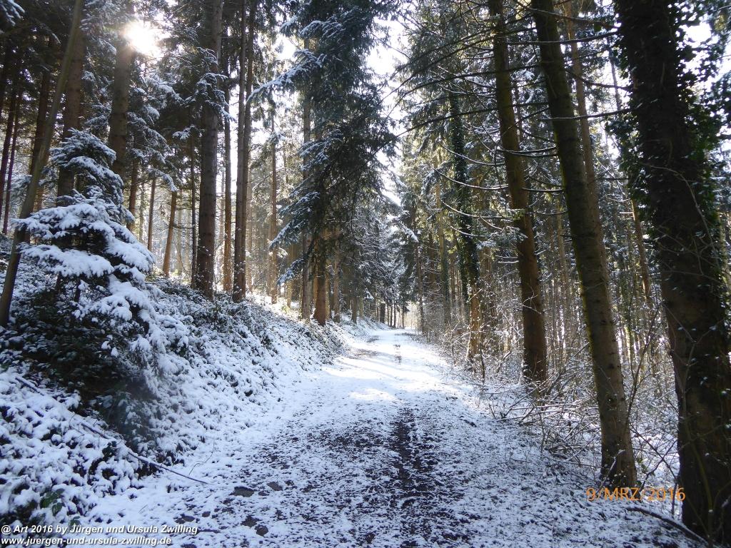 Philosophische Bildwanderung Rorschach -Staad - Landegg - Fünfländerblick - Rorschach - Appenzeller Land - Bodensee - Schweiz