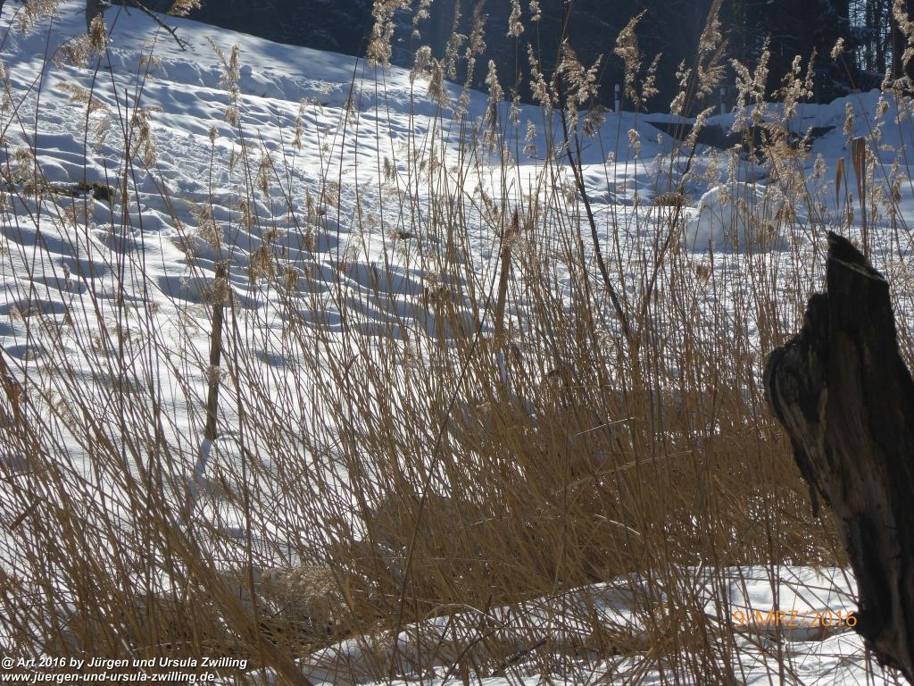 Philosophische Bildwanderung Rorschach -Staad - Landegg - Fünfländerblick -  Rorschach - Appenzeller Land - Bodensee - Schweiz