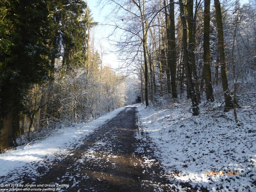 Philosophische Bildwanderung Rorschach -Staad - Landegg - Fünfländerblick - Rorschach - Appenzeller Land - Bodensee - Schweiz