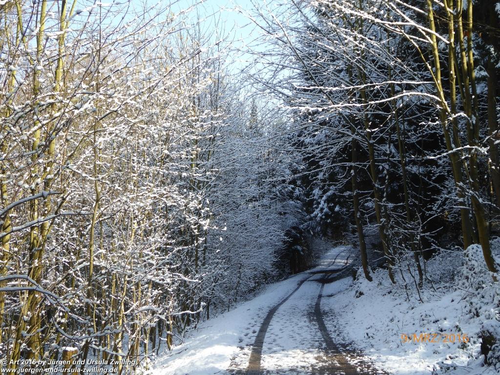 Philosophische Bildwanderung Rorschach -Staad - Landegg - Fünfländerblick - Rorschach - Appenzeller Land - Bodensee - Schweiz