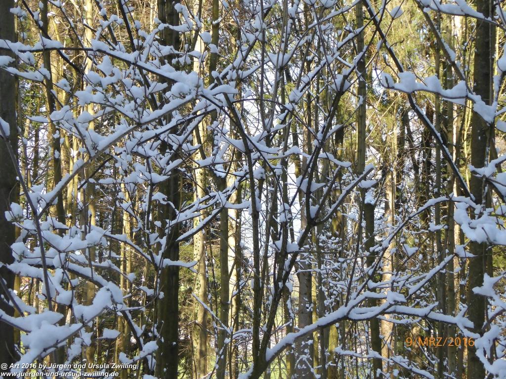 Philosophische Bildwanderung Rorschach -Staad - Landegg - Fünfländerblick - Rorschach - Appenzeller Land - Bodensee - Schweiz