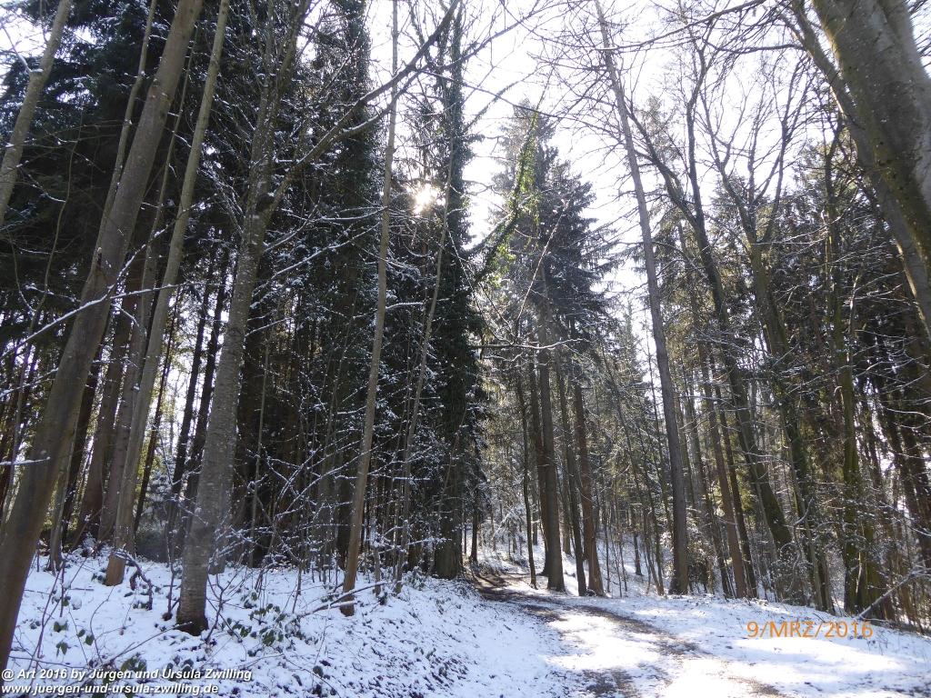 Philosophische Bildwanderung Rorschach -Staad - Landegg - Fünfländerblick - Rorschach - Appenzeller Land - Bodensee - Schweiz