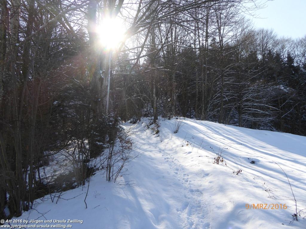 Philosophische Bildwanderung Rorschach -Staad - Landegg - Fünfländerblick - Rorschach - Appenzeller Land - Bodensee - Schweiz