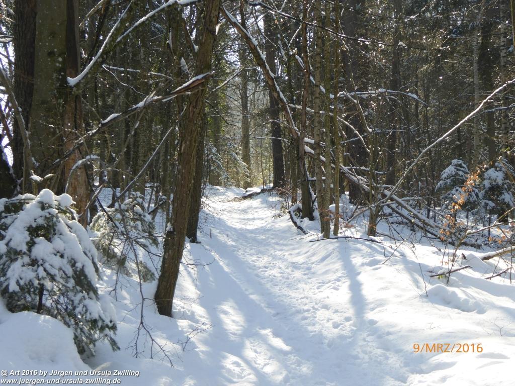 Philosophische Bildwanderung Rorschach -Staad - Landegg - Fünfländerblick - Rorschach - Appenzeller Land - Bodensee - Schweiz
