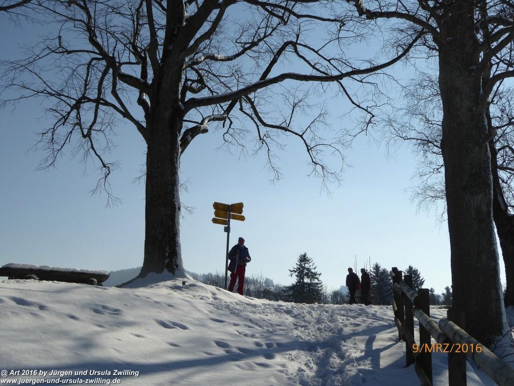 Philosophische Bildwanderung Rorschach -Staad - Landegg - Fünfländerblick -  Rorschach - Appenzeller Land - Bodensee - Schweiz