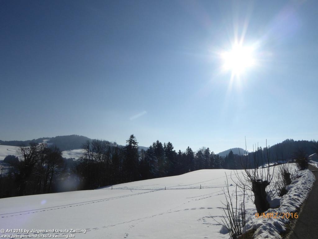 Philosophische Bildwanderung Rorschach -Staad - Landegg - Fünfländerblick - Rorschach - Appenzeller Land - Bodensee - Schweiz