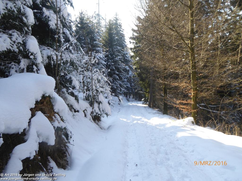 Philosophische Bildwanderung Rorschach -Staad - Landegg - Fünfländerblick - Rorschach - Appenzeller Land - Bodensee - Schweiz