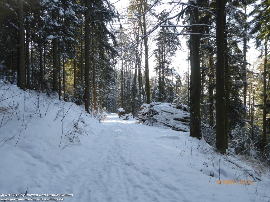 Philosophische Bildwanderung Rorschach -Staad - Landegg - Fünfländerblick - Rorschach - Appenzeller Land - Bodensee - Schweiz
