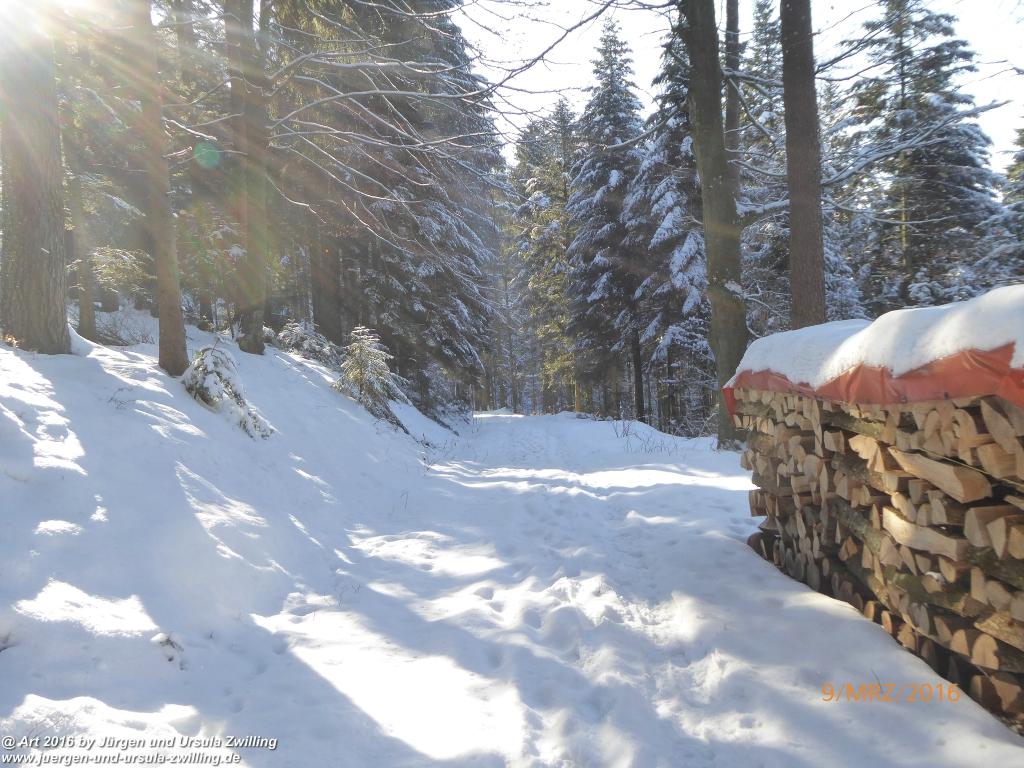 Philosophische Bildwanderung Rorschach -Staad - Landegg - Fünfländerblick - Rorschach - Appenzeller Land - Bodensee - Schweiz
