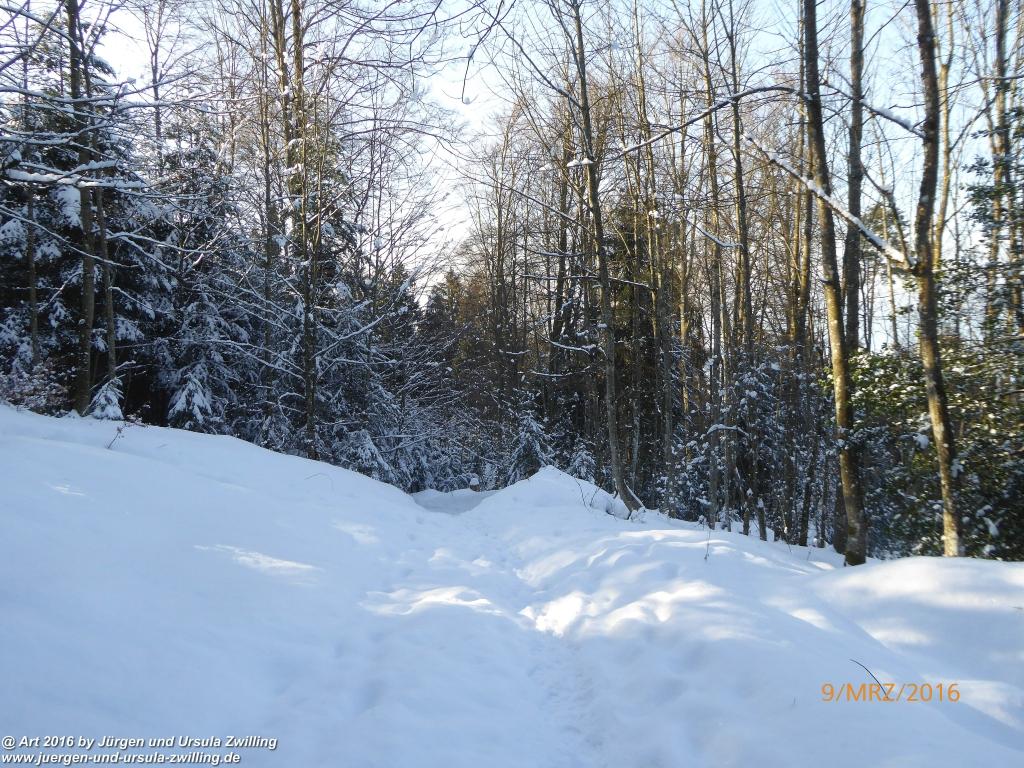Philosophische Bildwanderung Rorschach -Staad - Landegg - Fünfländerblick - Rorschach - Appenzeller Land - Bodensee - Schweiz