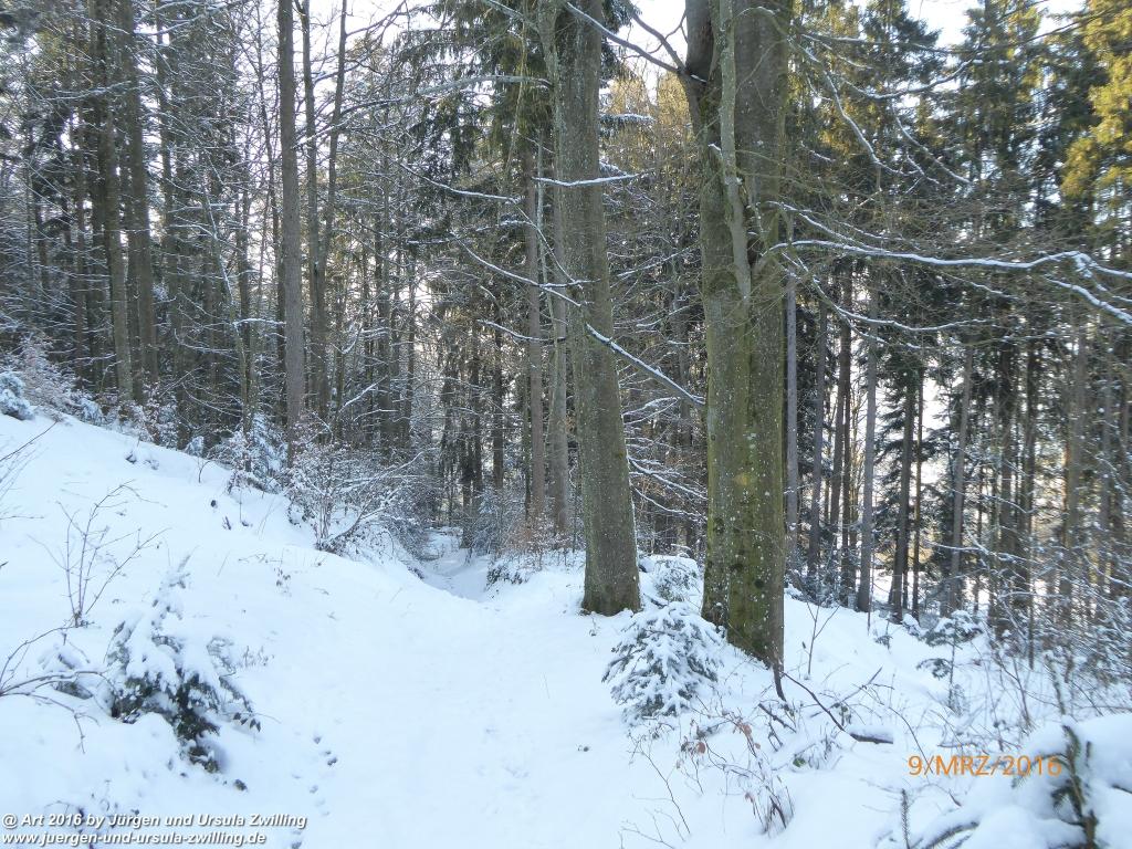Philosophische Bildwanderung Rorschach -Staad - Landegg - Fünfländerblick - Rorschach - Appenzeller Land - Bodensee - Schweiz
