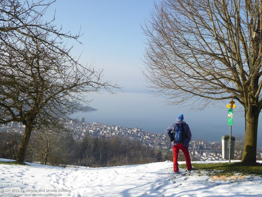 Philosophische Bildwanderung Rorschach -Staad - Landegg - Fünfländerblick - Rorschach - Appenzeller Land - Bodensee - Schweiz